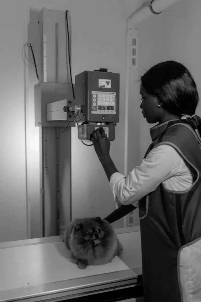 Veterinary imaging equipment